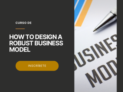 How To Design a Robust Business Model